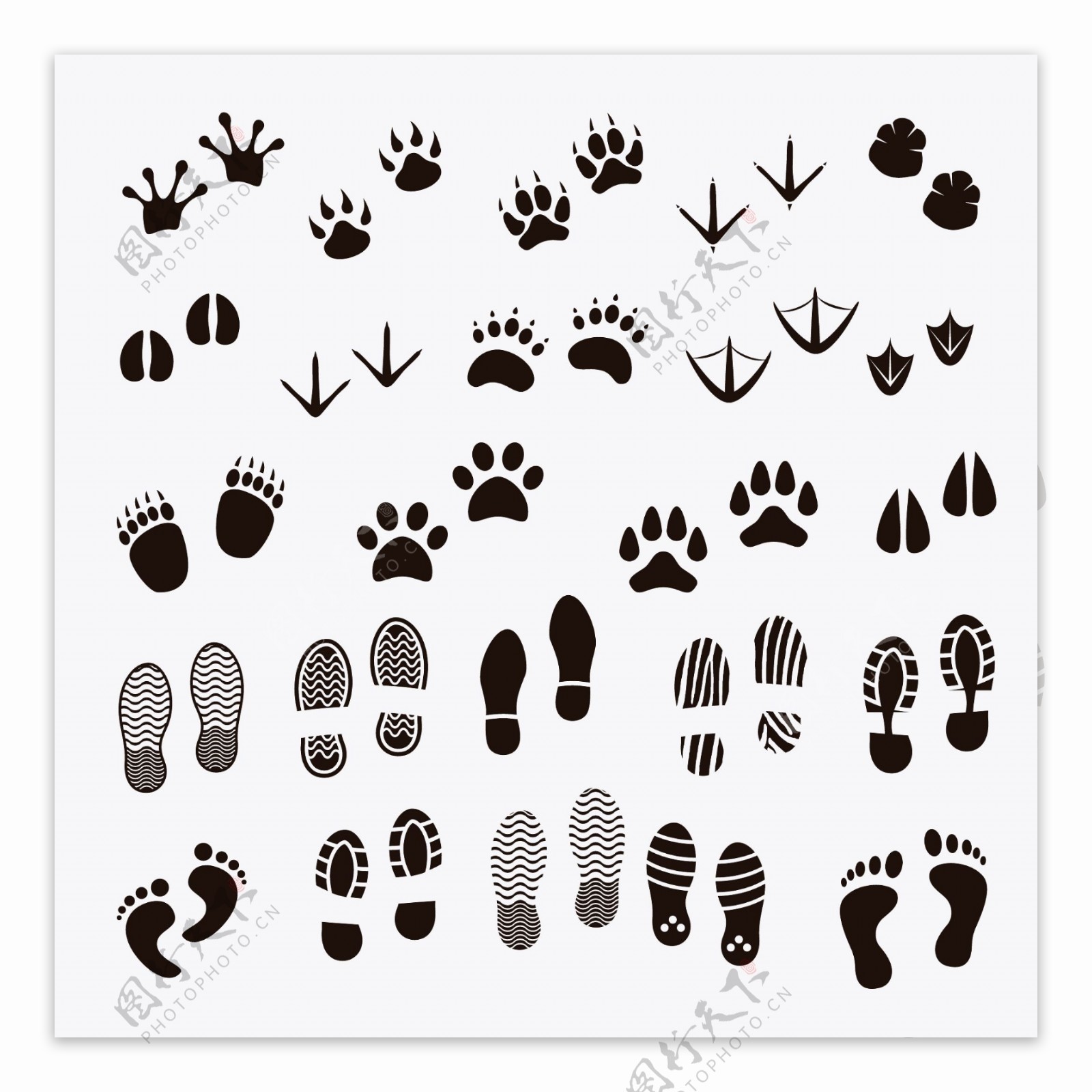 Footprint clipart animal, Footprint animal Transparent FREE for download on WebStockReview 2023