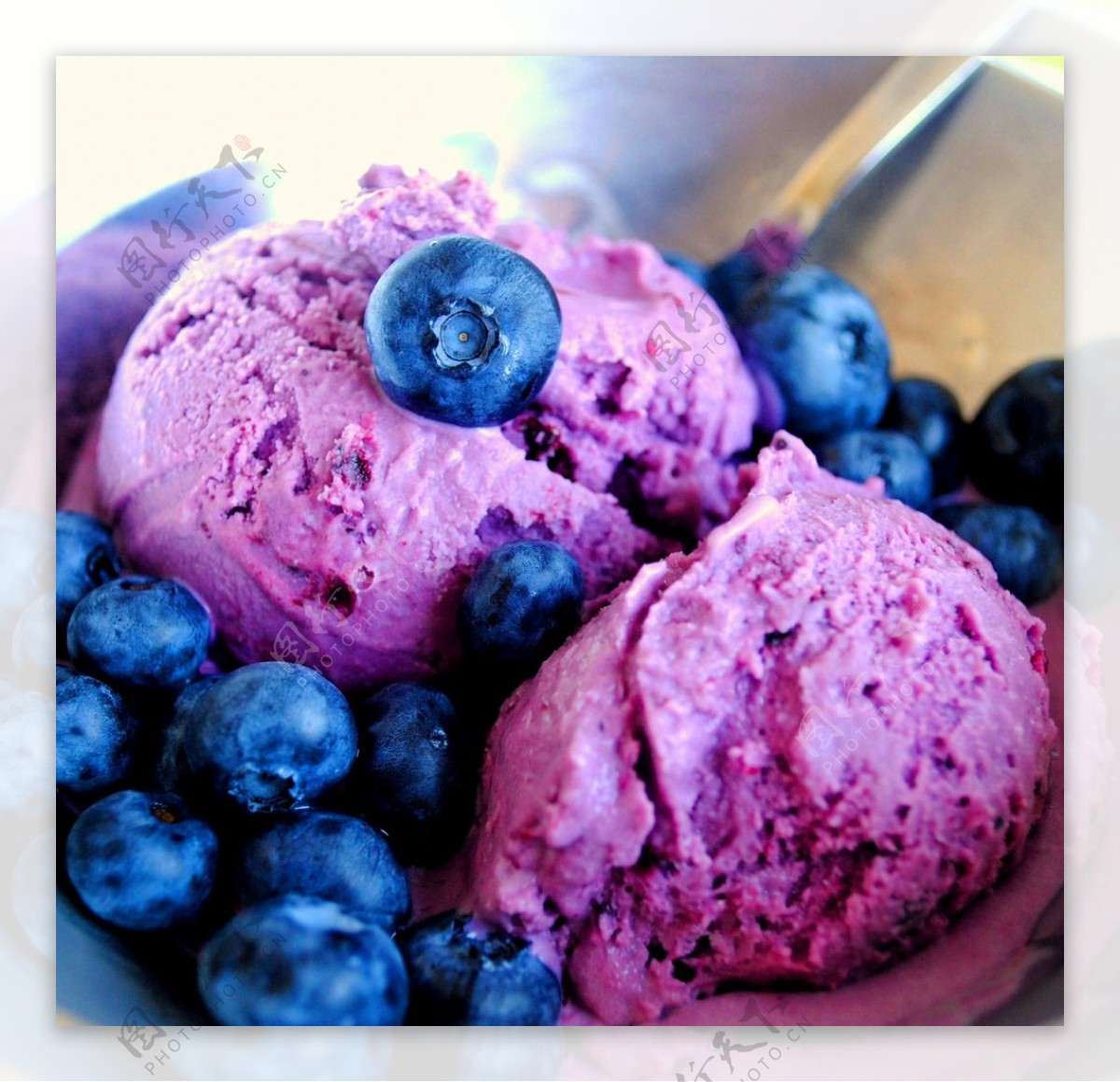 炎炎夏日里 那般招人爱——【蓝莓酸奶冰淇淋】_蓝莓酸奶冰淇淋_烧焦的Apple的日志_美食天下