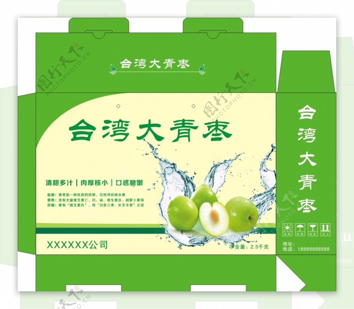简约的台湾大青枣包装礼盒