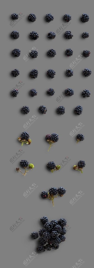 黑莓