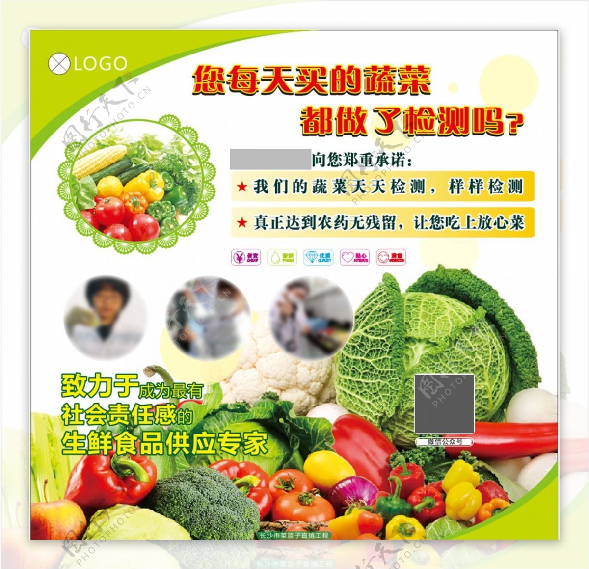 蔬菜检测宣传画