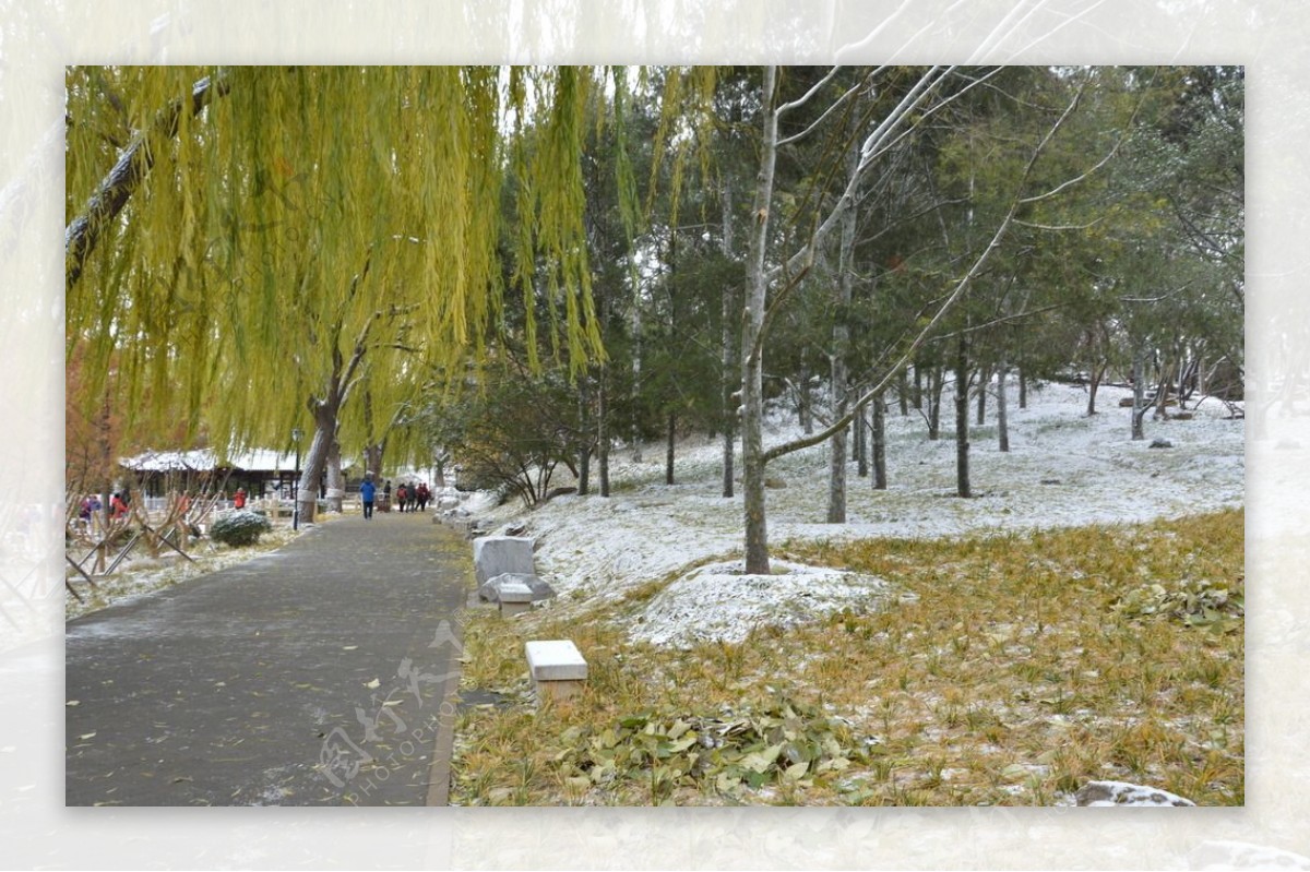 初雪陶然亭