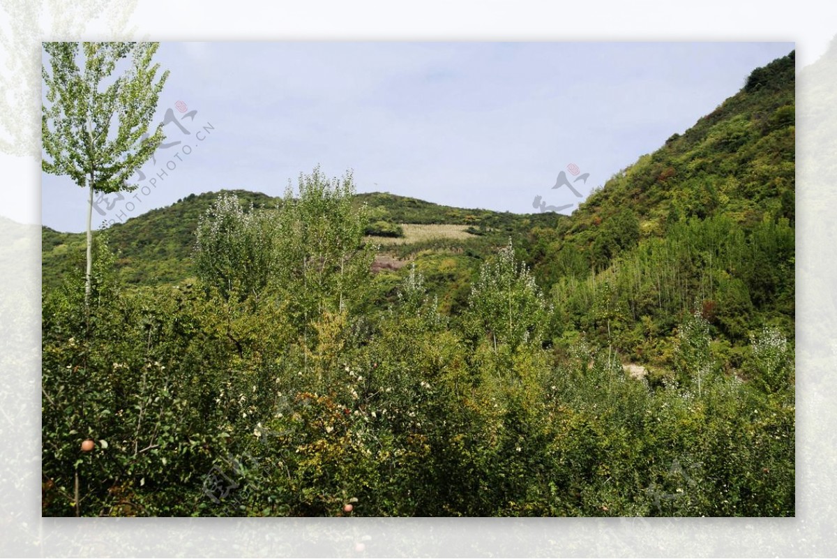 大山美景