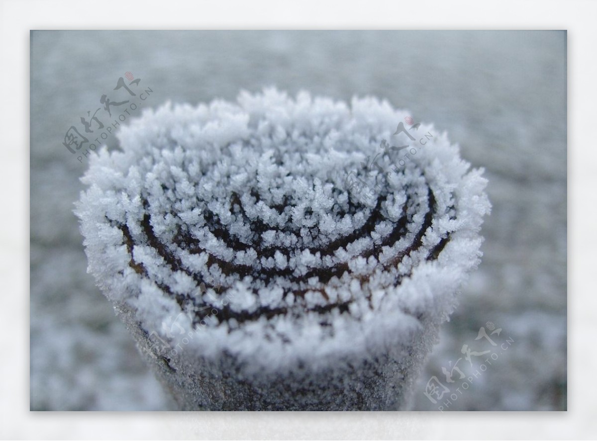 冰雪