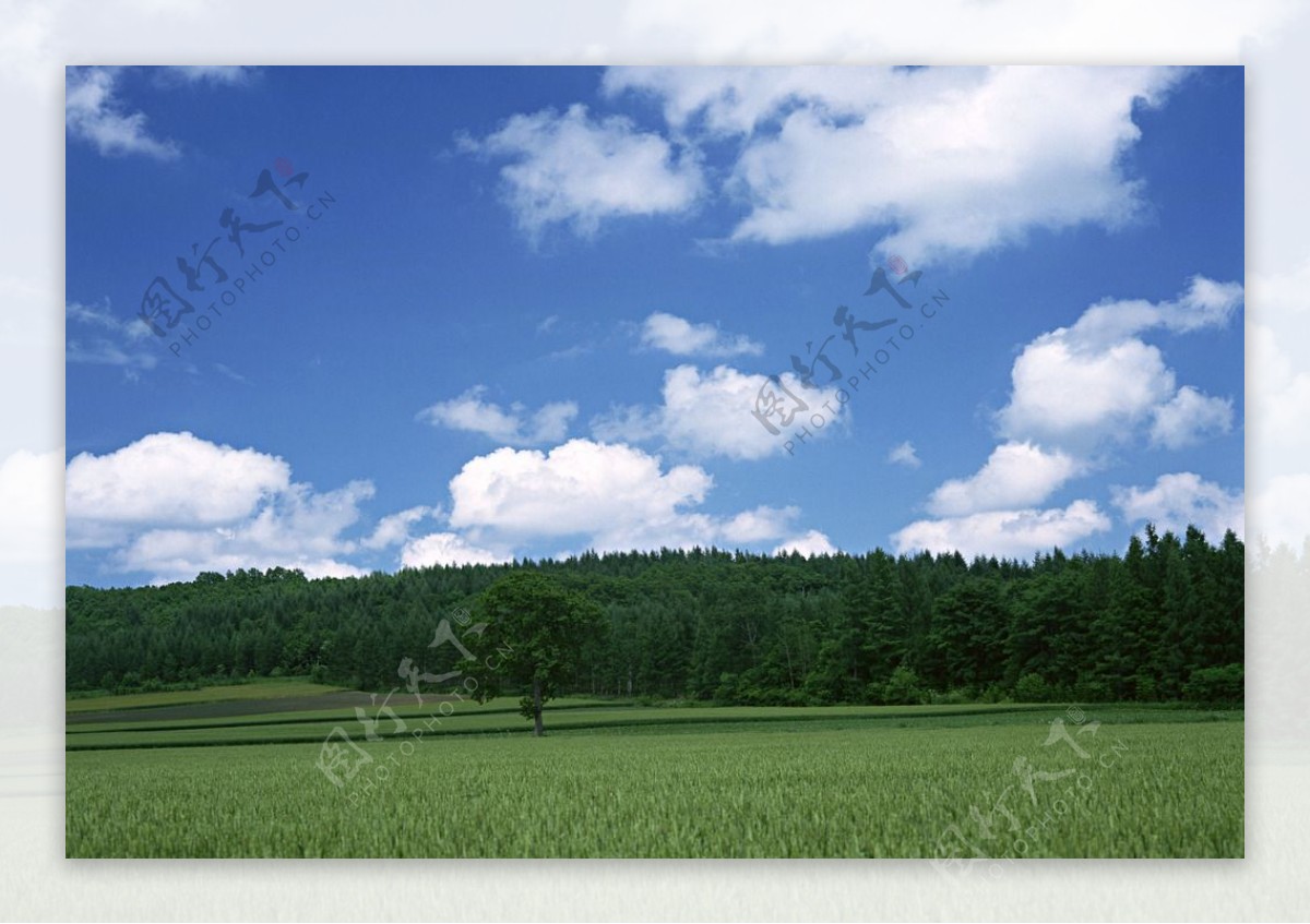 草坪天空素材图