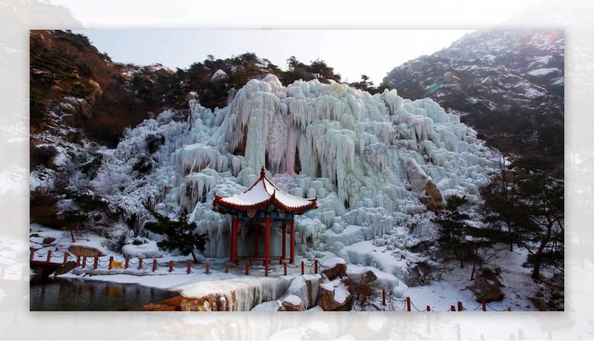 茶山冰雪