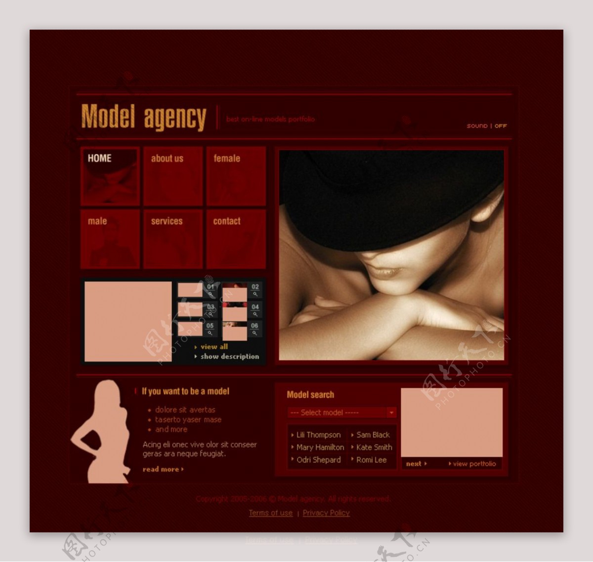 国外美容美女行业网页模板