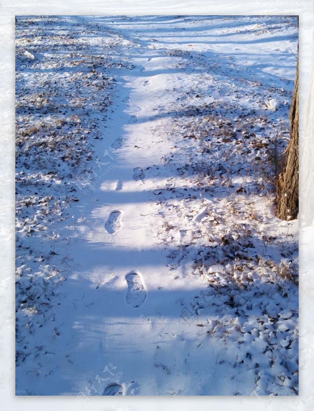 雪路