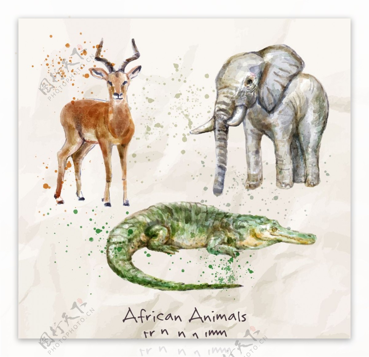 水彩手绘非洲动物