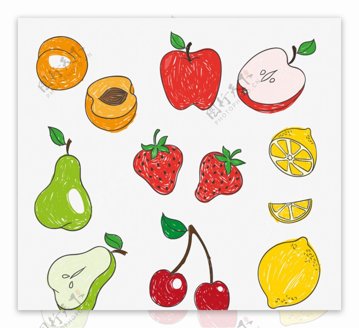 彩绘水果设计矢量图