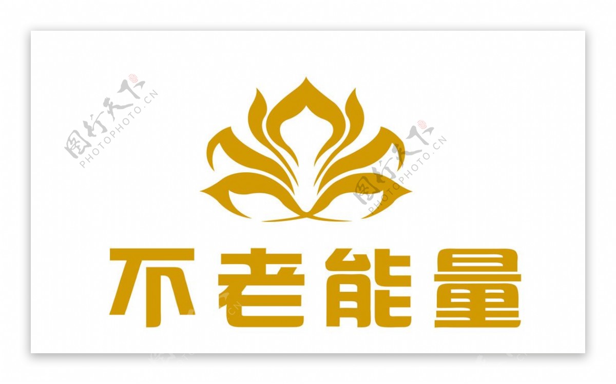 不老能量logo