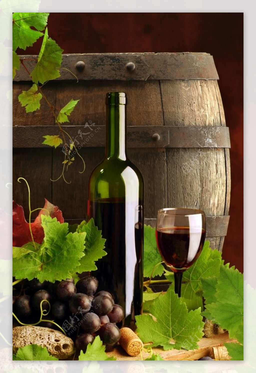 橡木桶红酒和葡萄