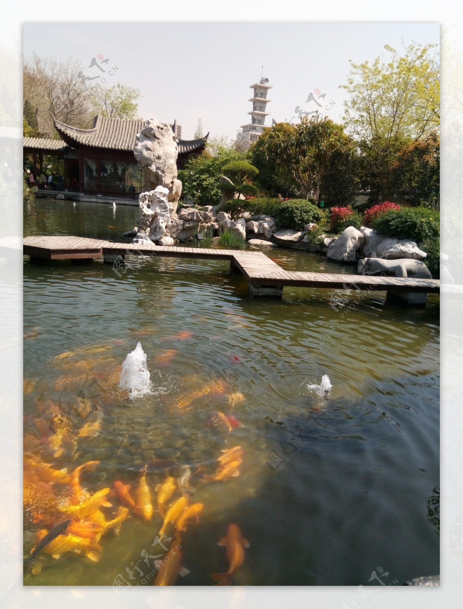 清水养鱼，水至清鱼至美|硬质底景观湖及池塘|上海欧保环境:021-58129802