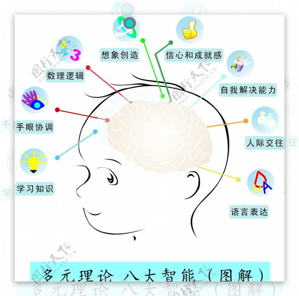 儿童大脑多元理论八大智能