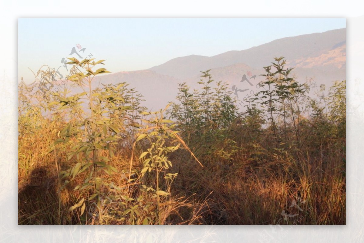 日出山顶风景