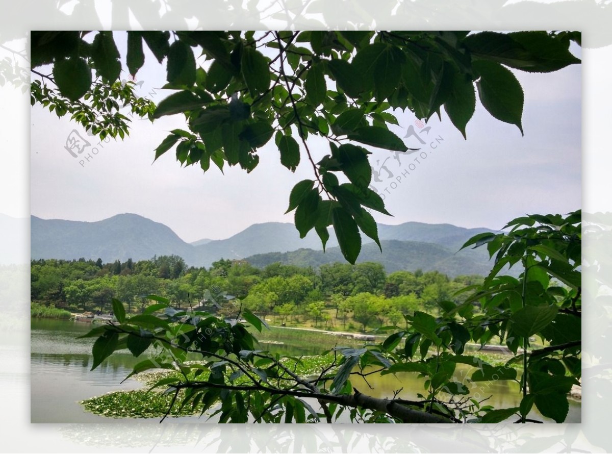 北京香山植物园河边美图