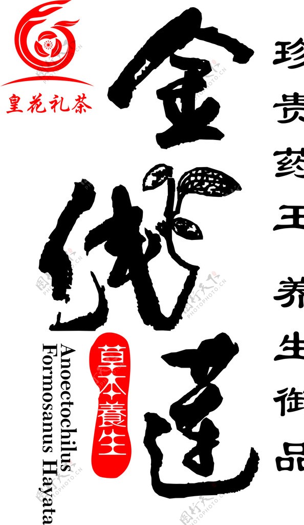 金线莲logo