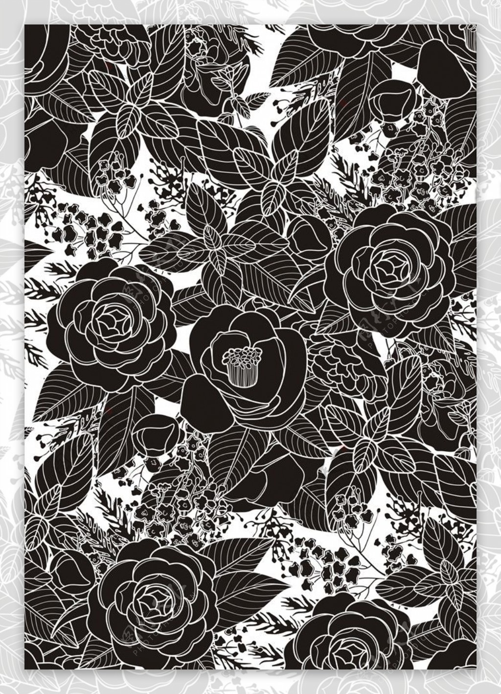 黑白花朵图案植物花卉素材