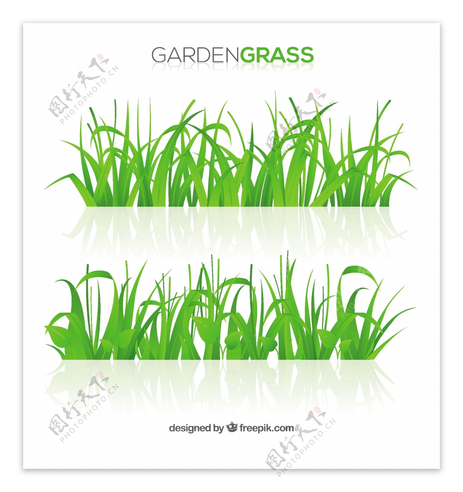 绿色花园草地