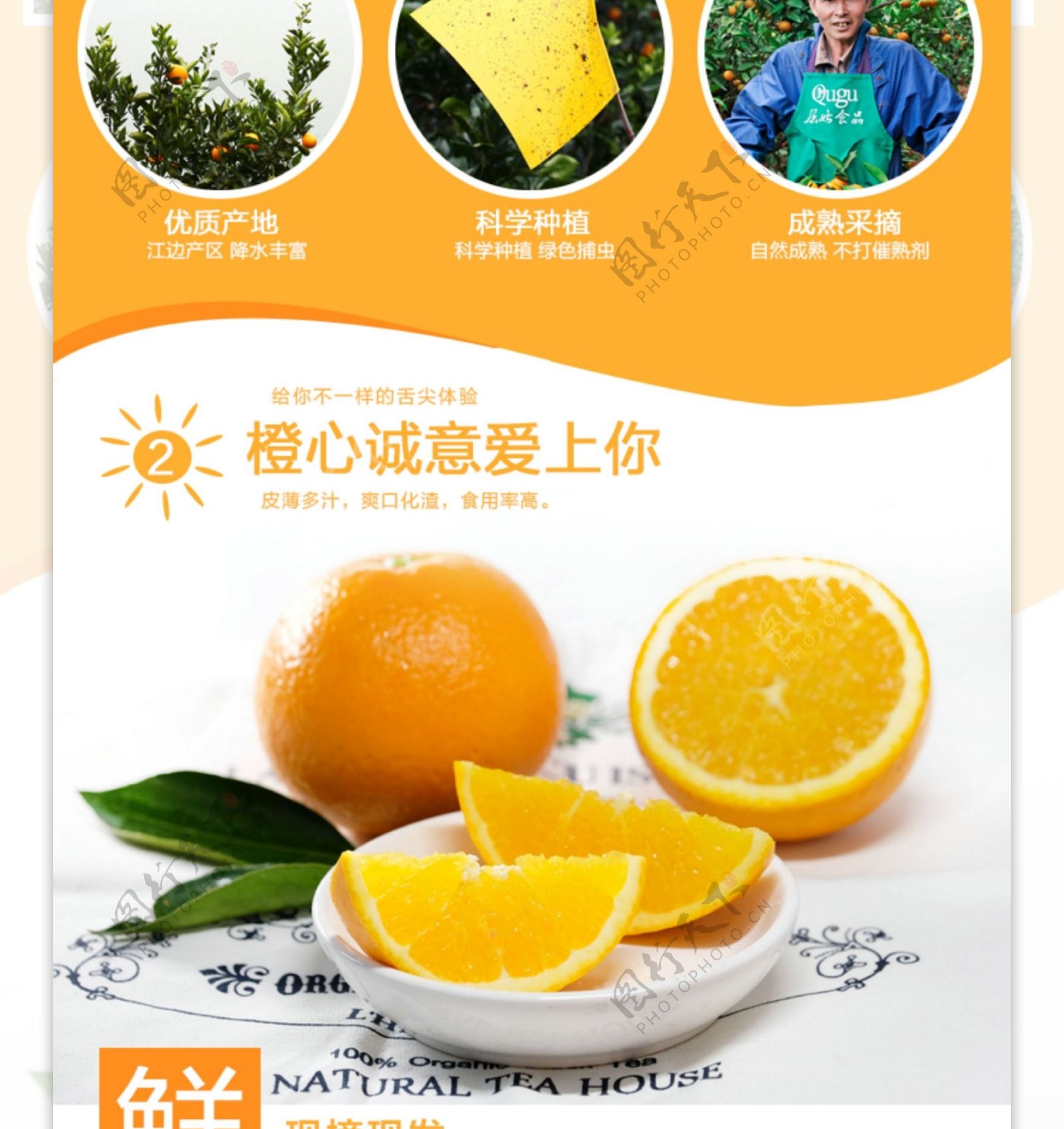 鲜果橙子详情页