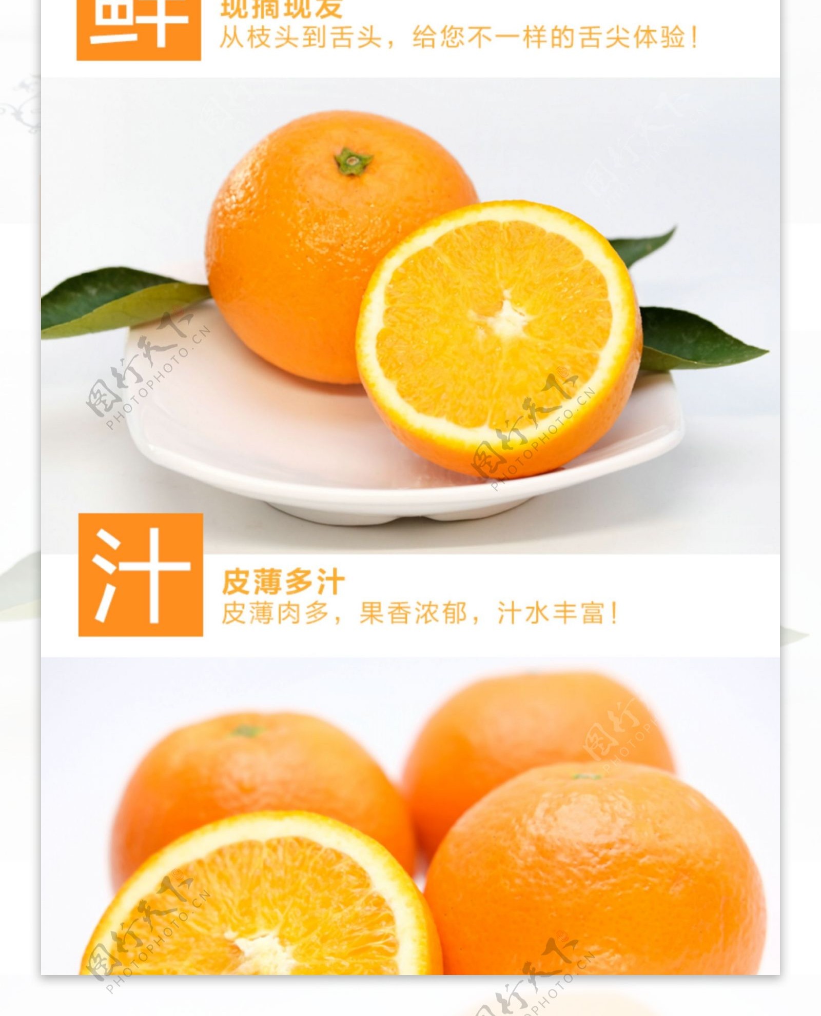 鲜果橙子详情页