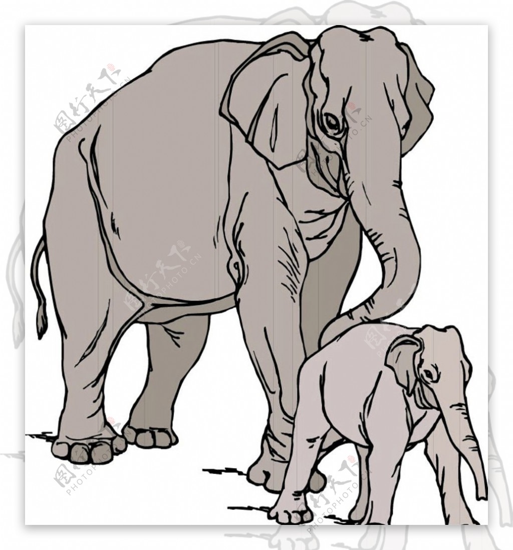 大象和小象