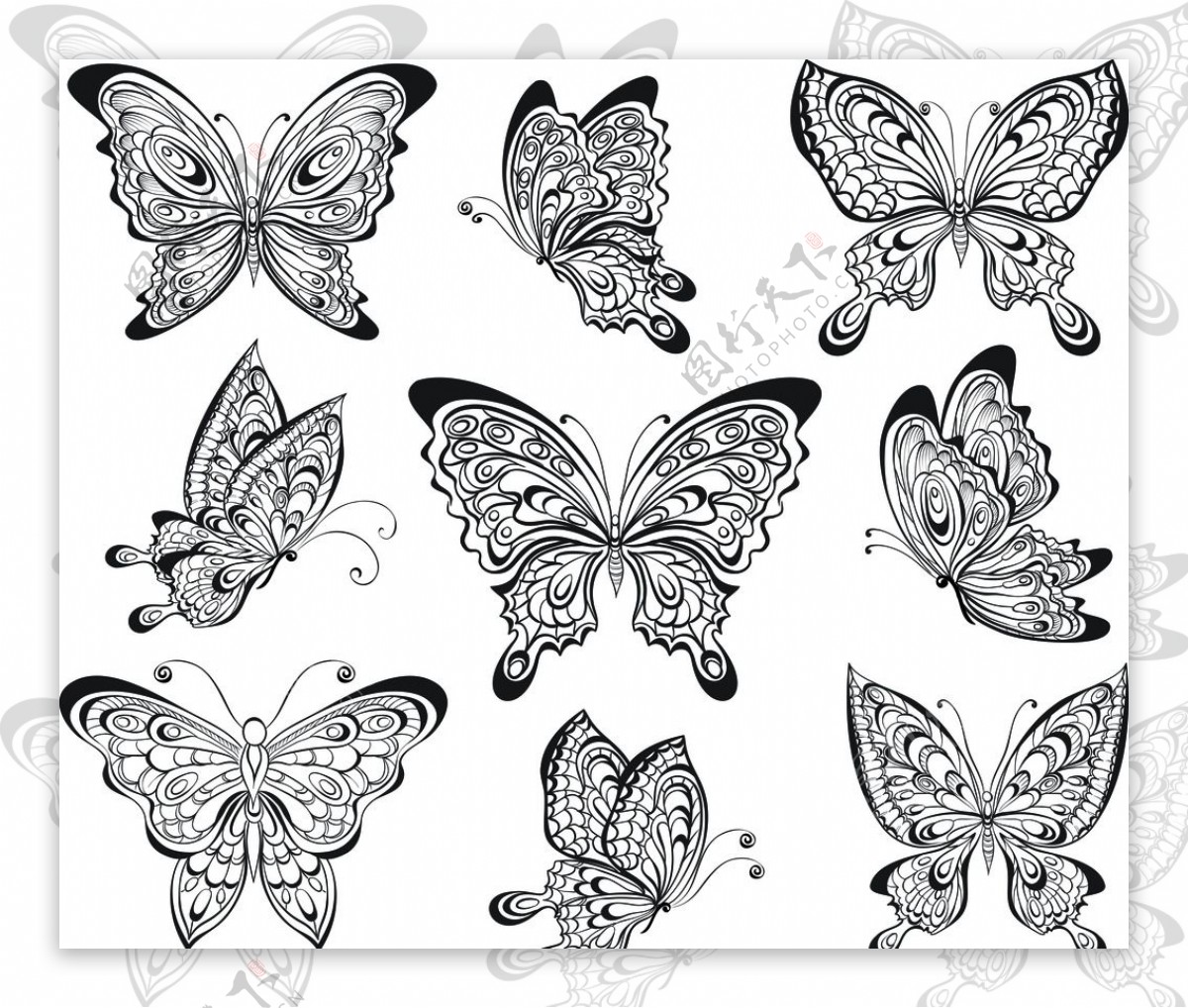蝴蝶造型卡通画