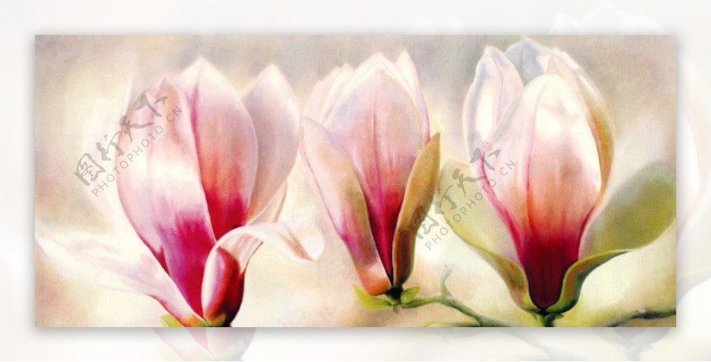 花卉油画4740厘米X80厘米