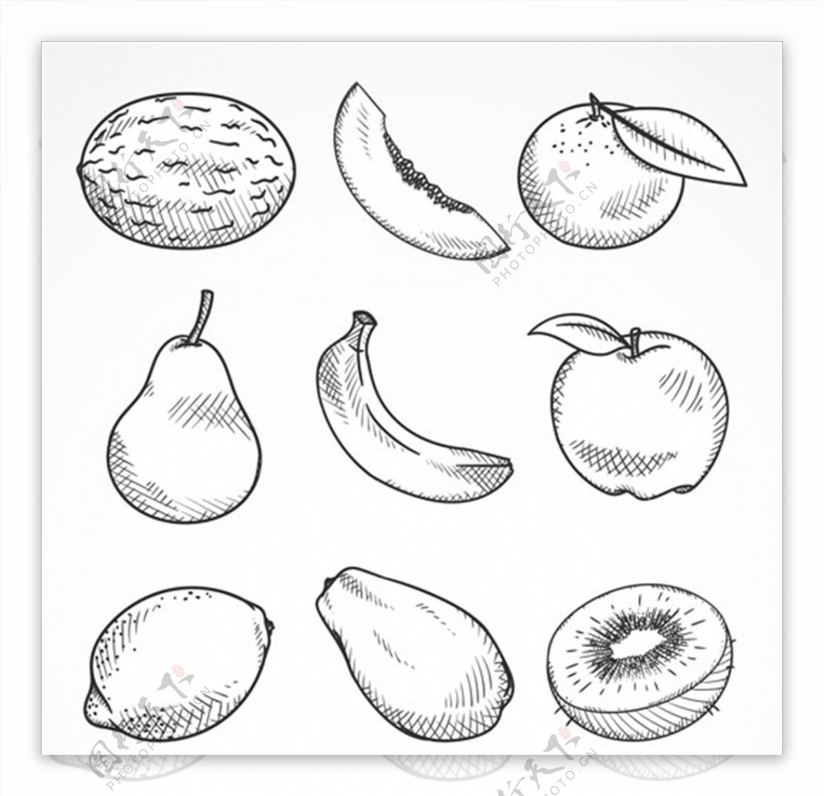 9个手绘素描水果