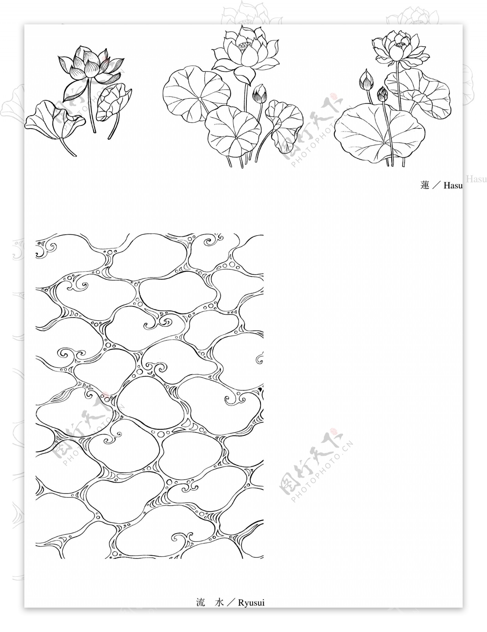 线描莲花流水EPS矢量