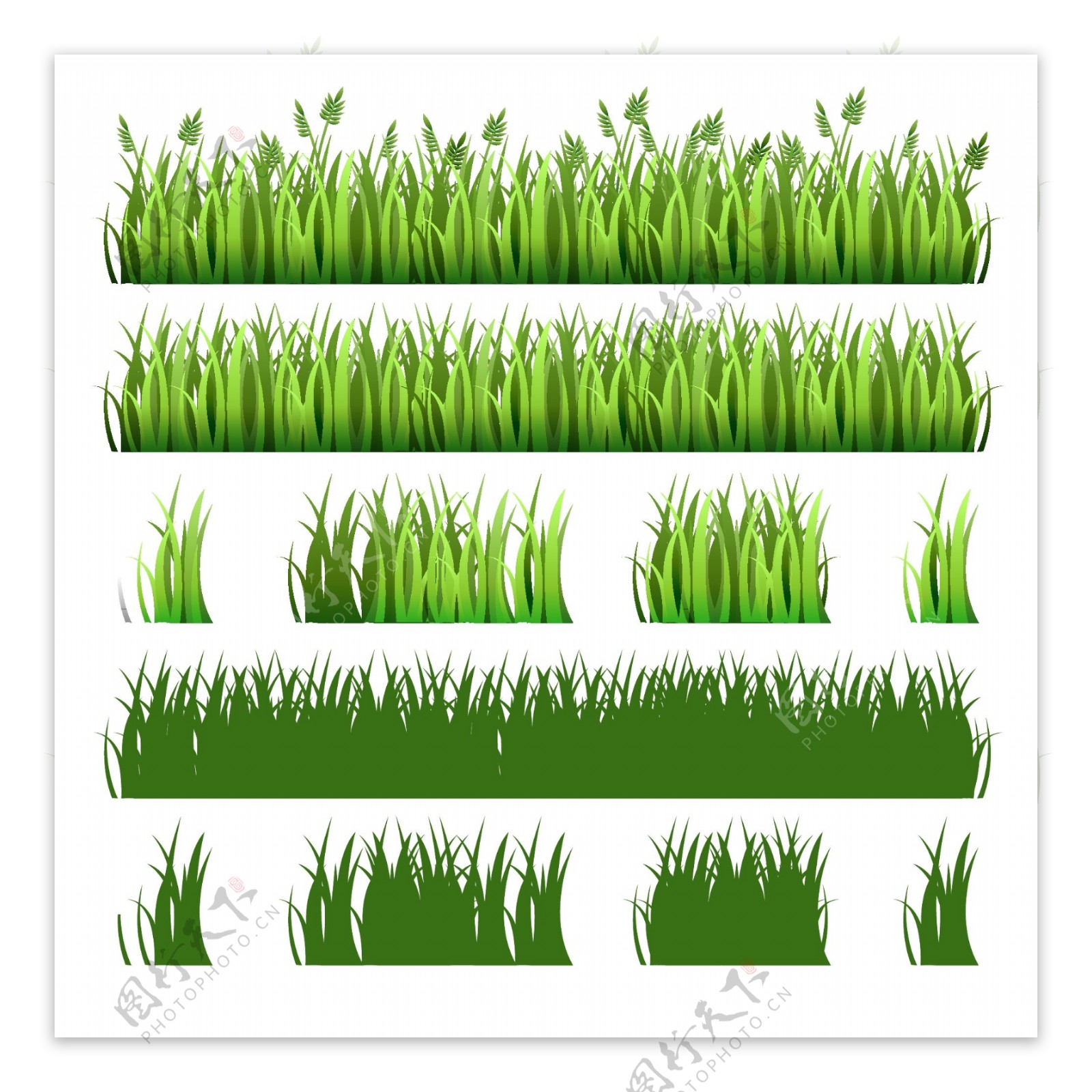 绿色草丛