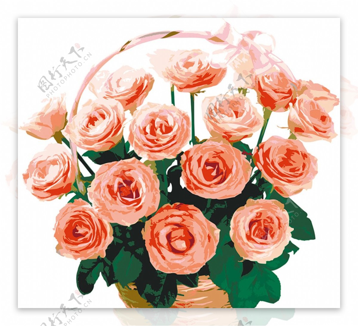 彩绘玫瑰花束矢量素材