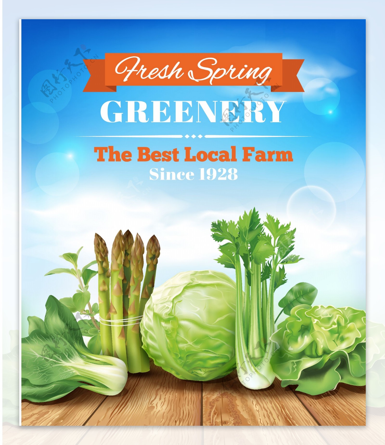 绿色蔬菜矢量宣传海报