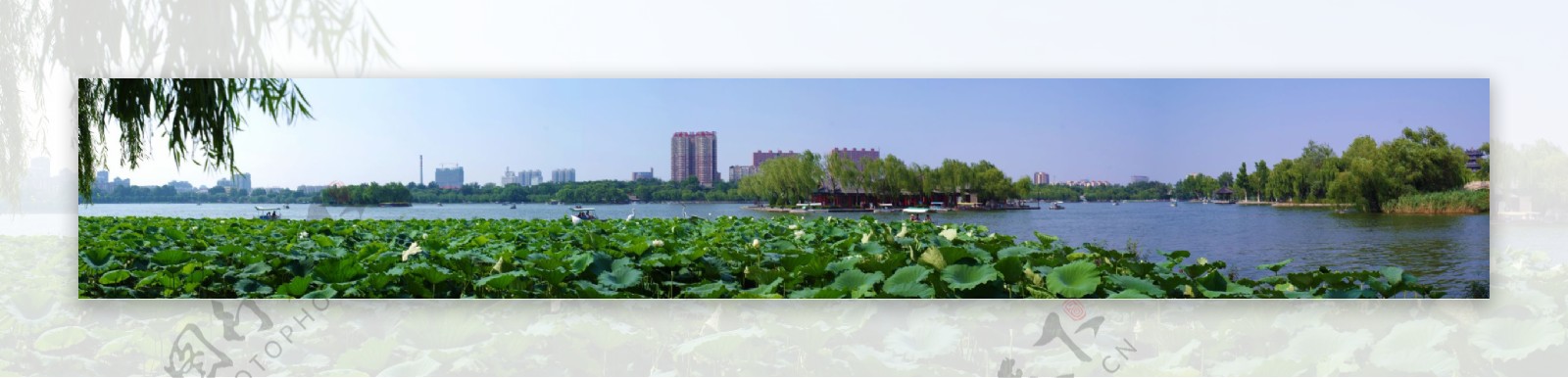 大明湖全景图