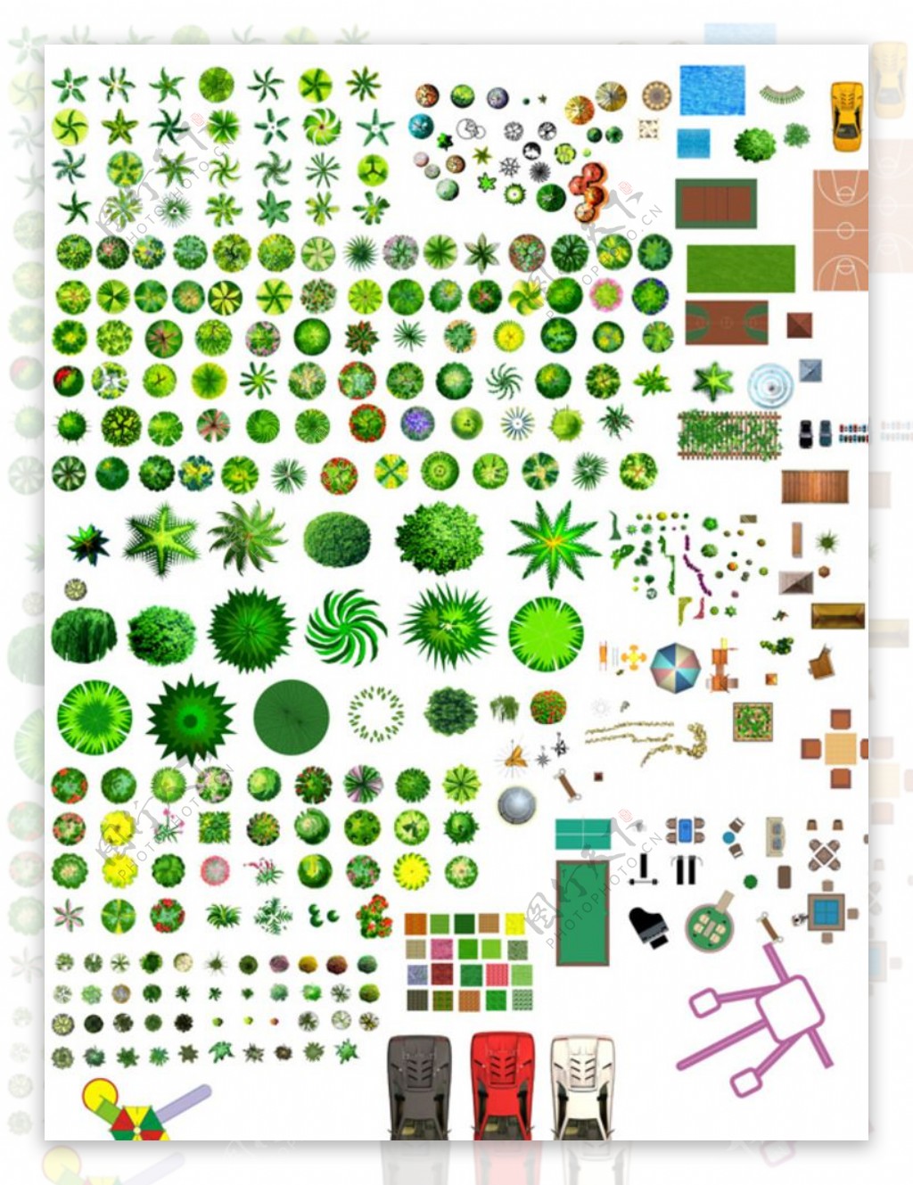 小树抠图配名植物