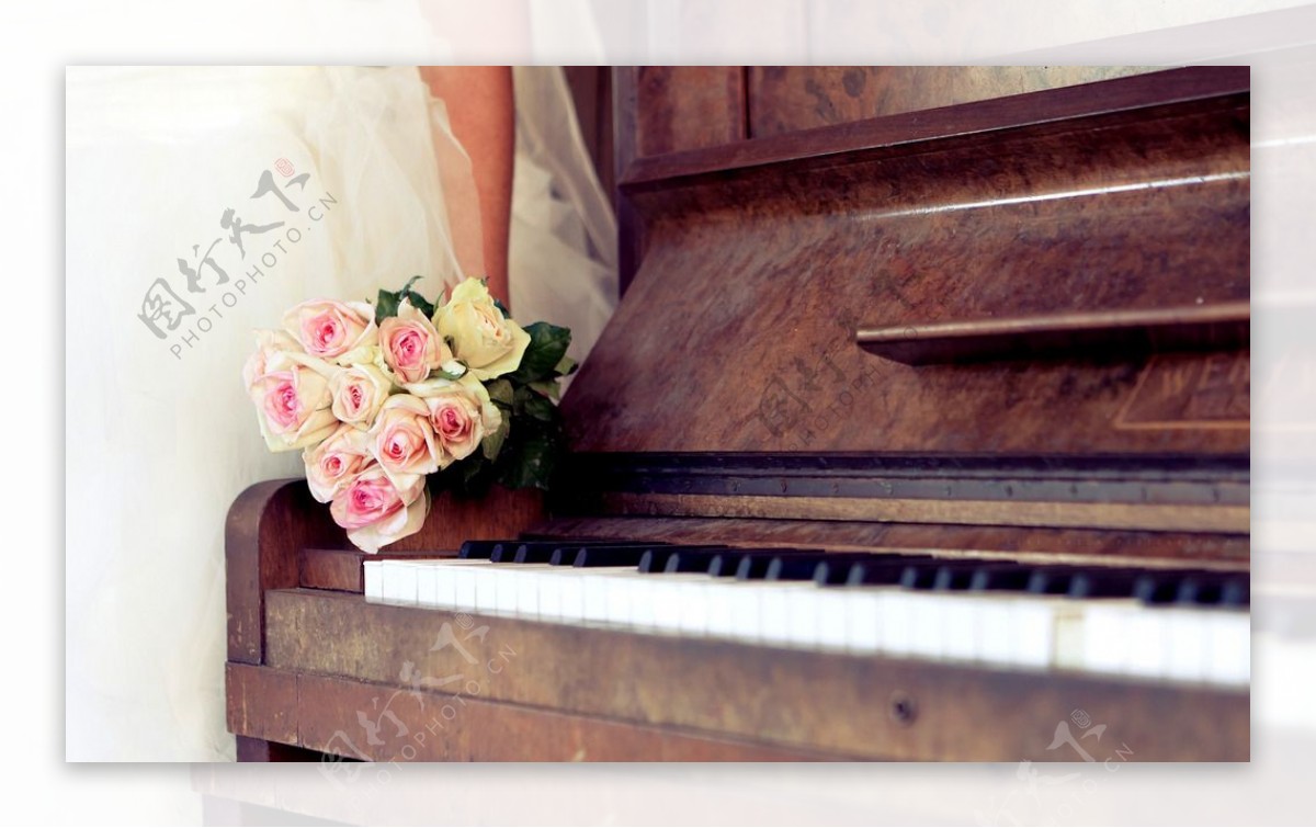 钢琴与玫瑰