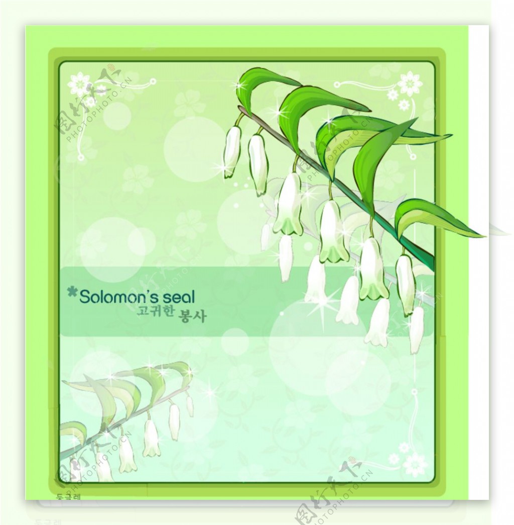 绿色边框和所罗门的封印花