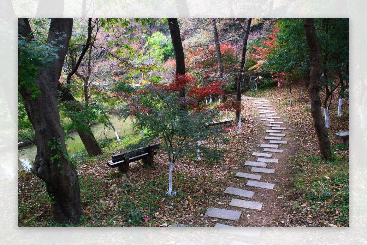 栖霞山红叶栖霞古寺