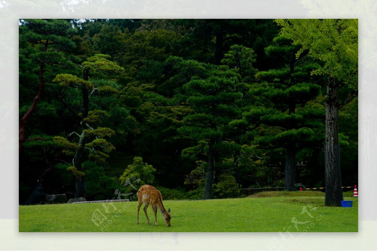 日本风景