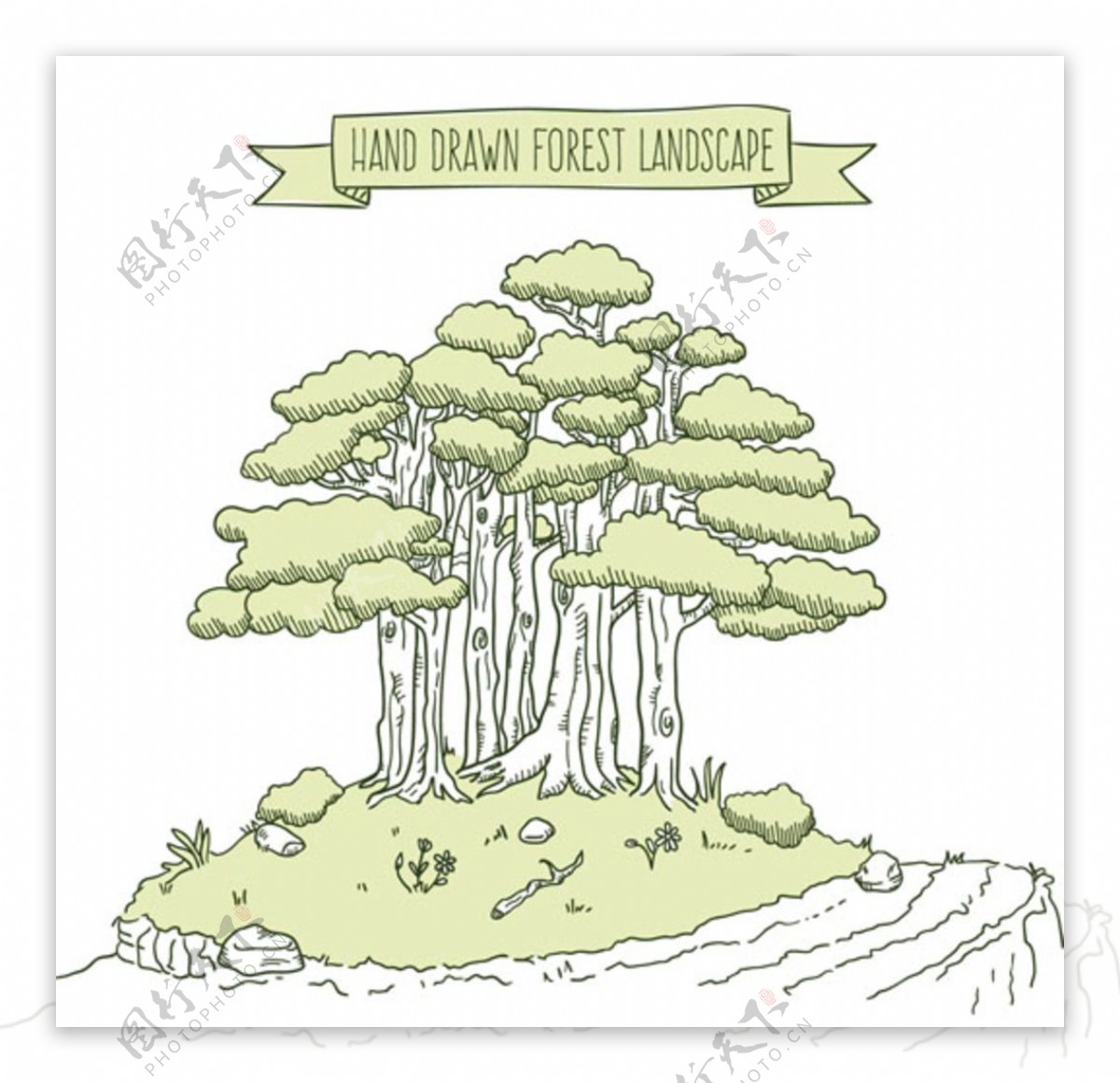 手绘素描春季小树林插图