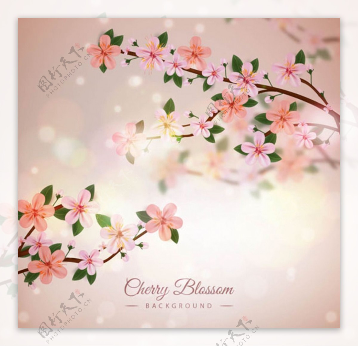春季粉色朦胧背景樱花