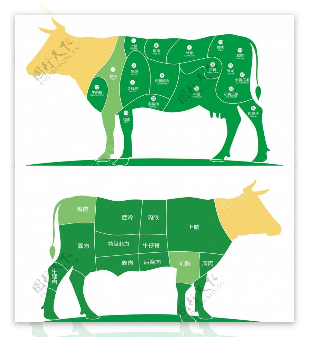 牛肉部位圖 | 酒肉朋友|新鮮牛肉,美國牛肉,批發,零售,宅配