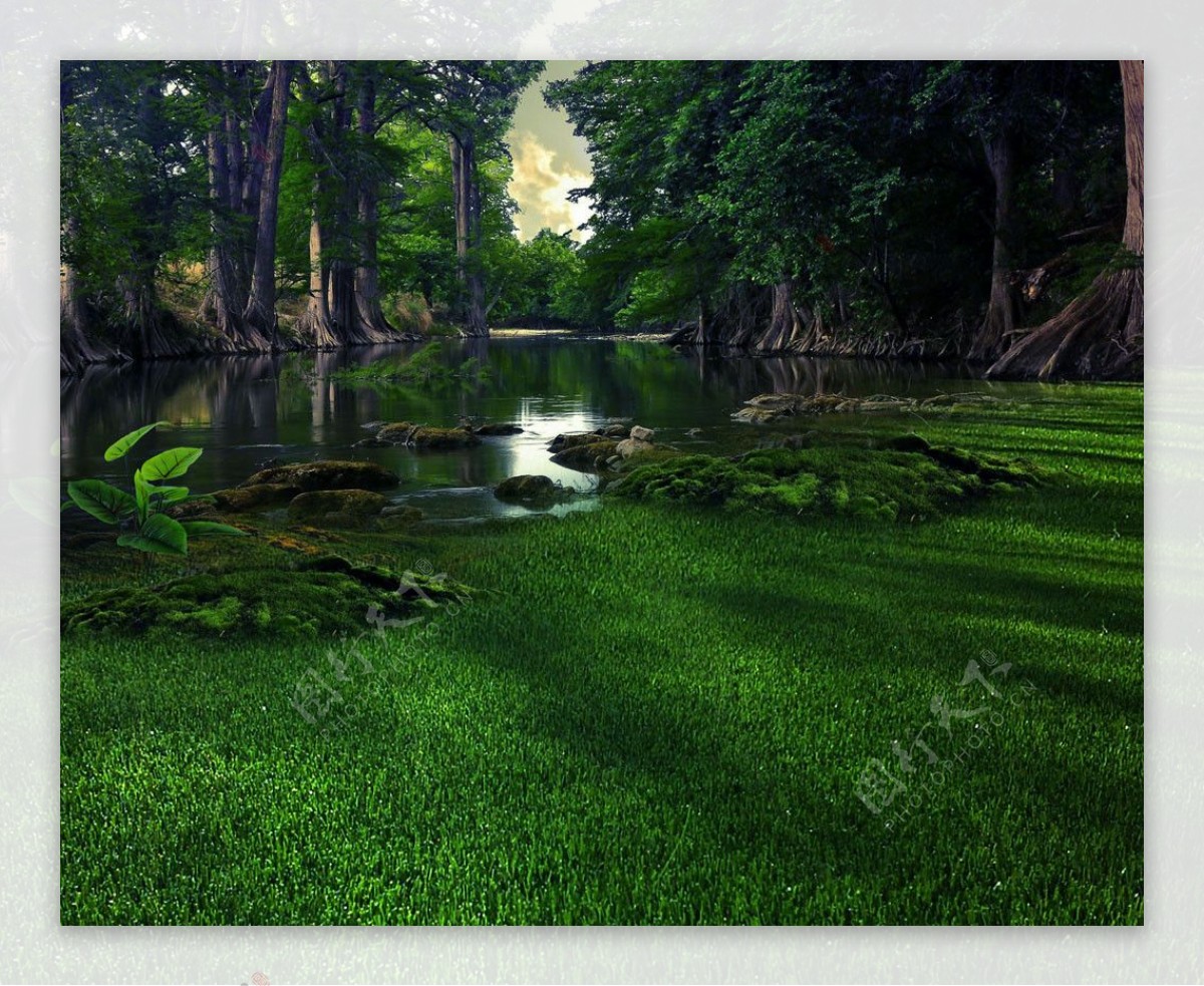 湖水草地树林背景图片