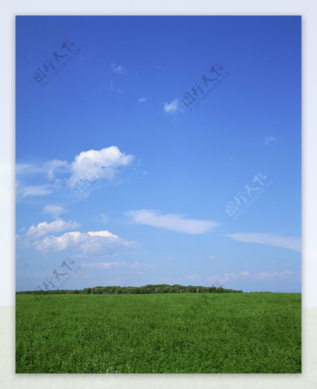草原上的风光自然风景图片