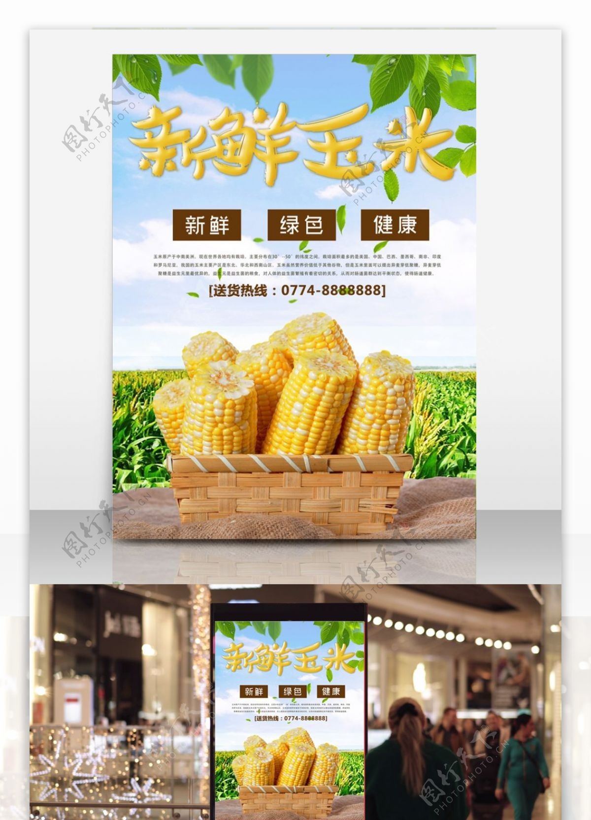 新鲜玉米蔬菜促销宣传海报
