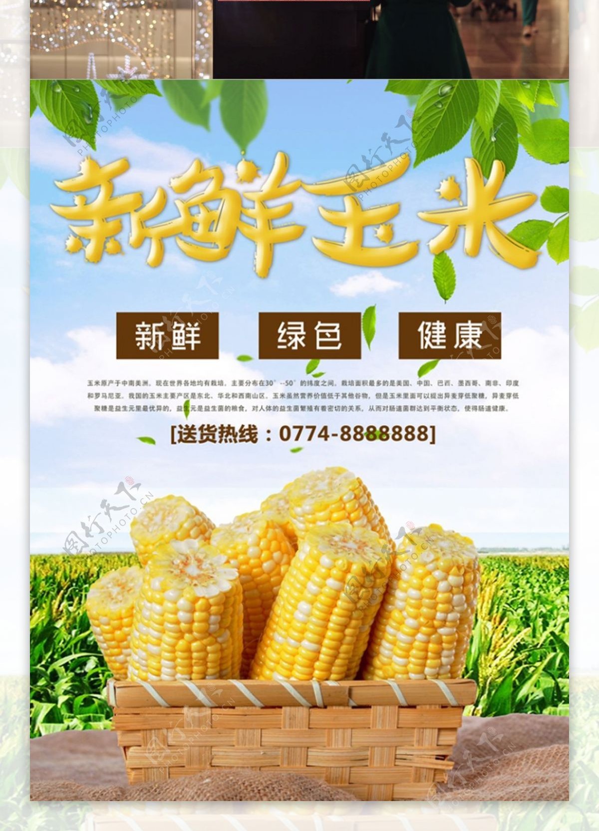 新鲜玉米蔬菜促销宣传海报
