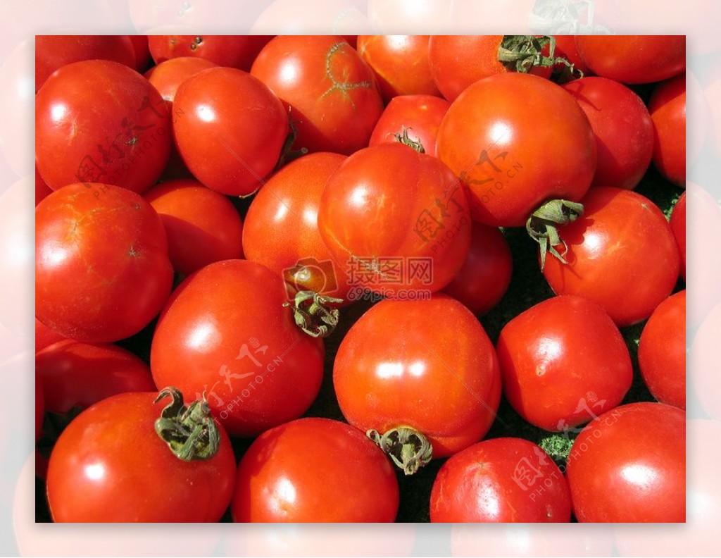 农民市场西红柿