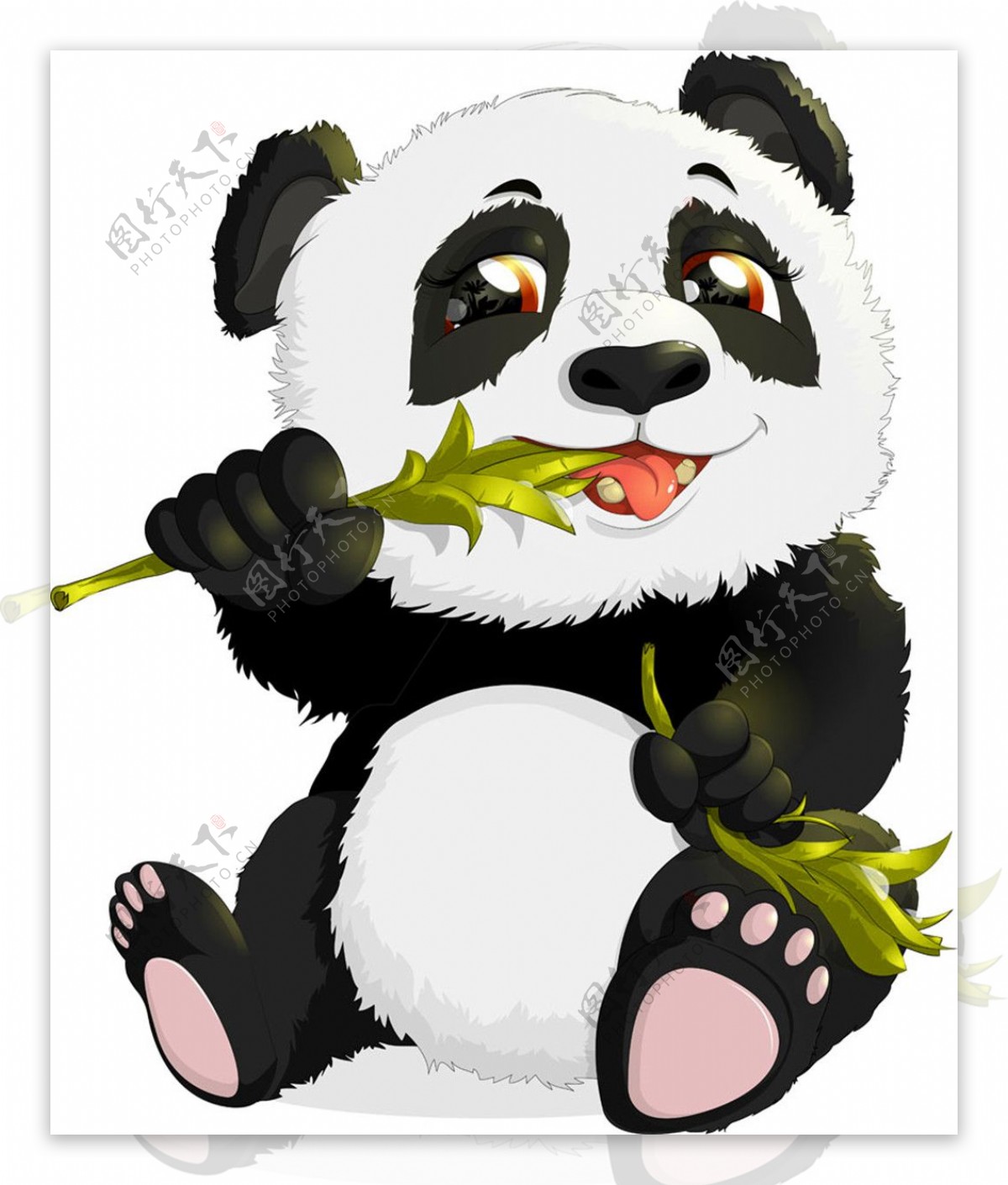 吃竹叶的熊猫图片