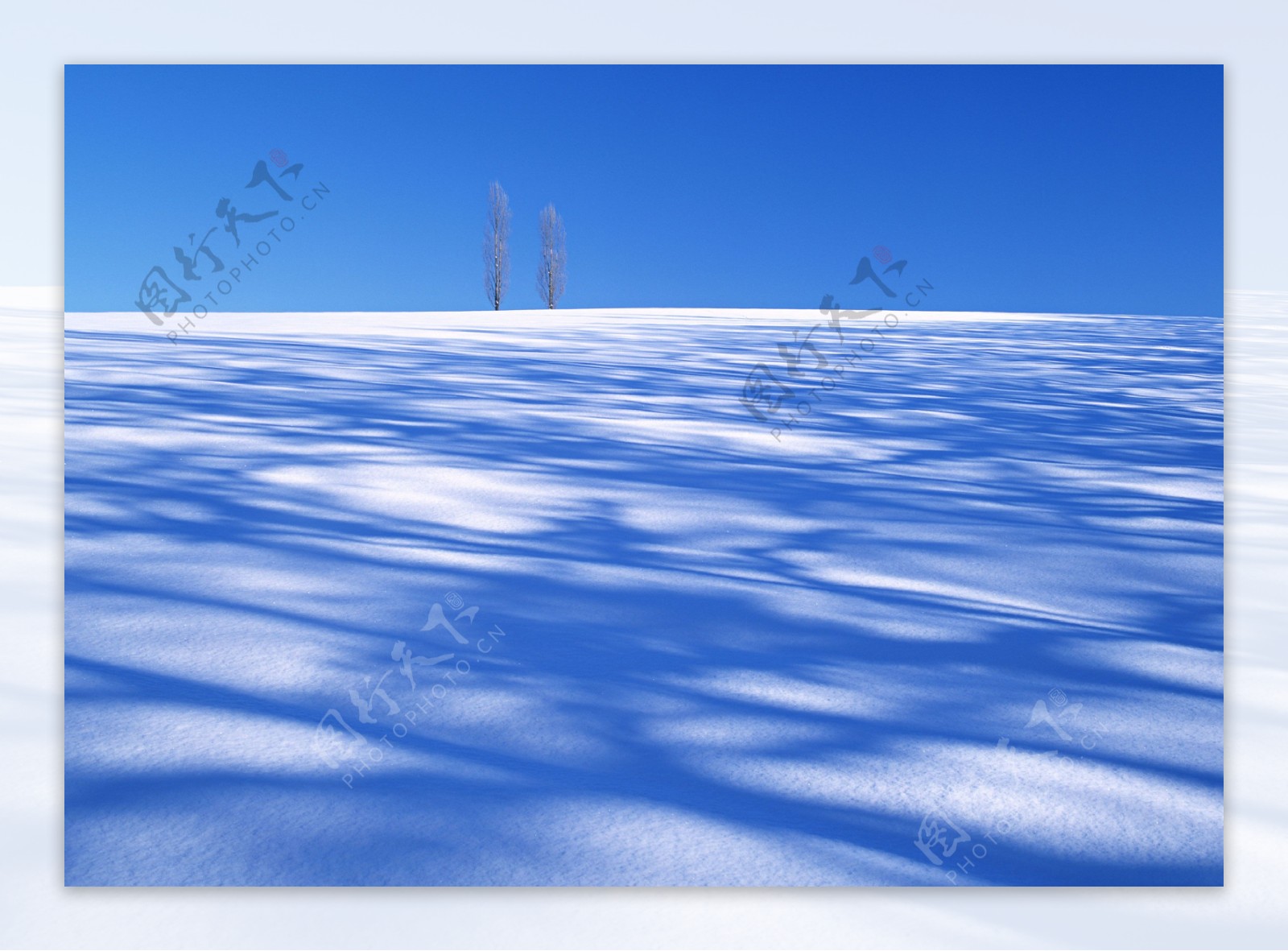 白色雪景摄影图片