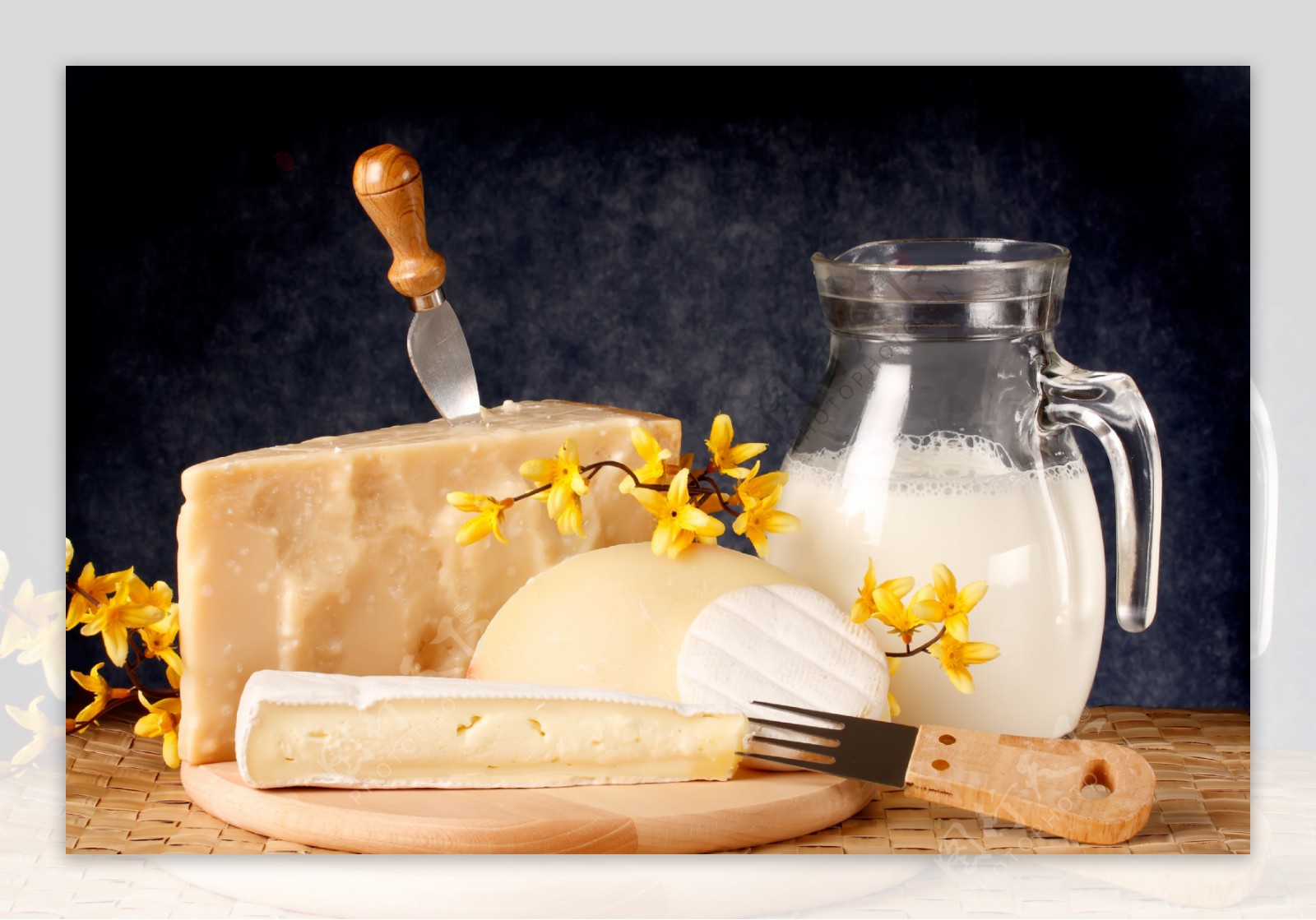 奶酪和牛奶摄影图片